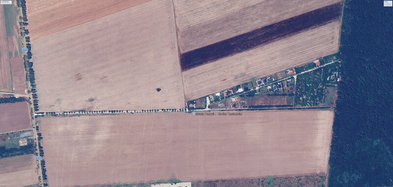 Ilfov, teren premium la Codrii Vlasiei comunitate privata vecini milionari.