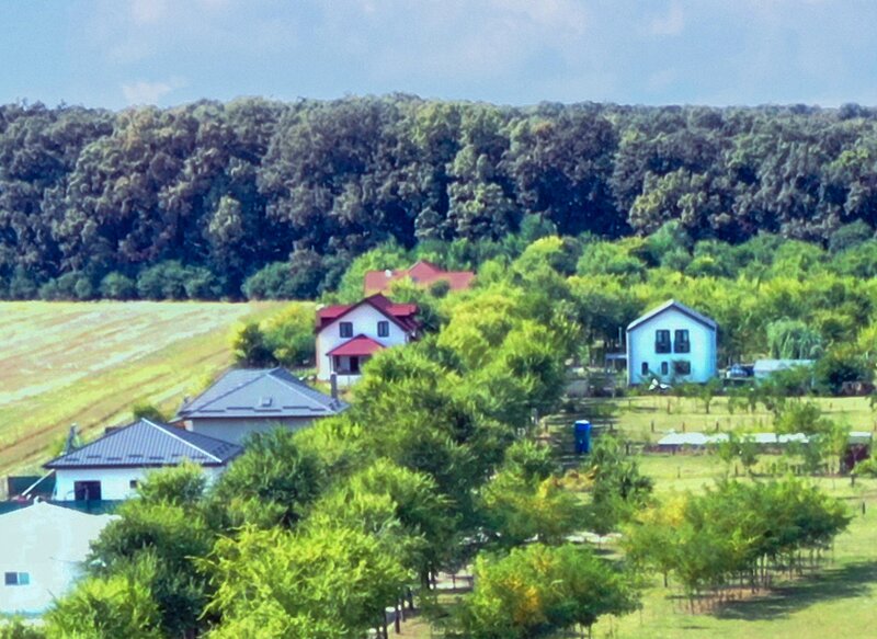 Ilfov, teren premium la Codrii Vlasiei comunitate privata vecini milionari.